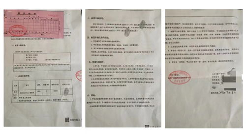 签署合同认真核对细节