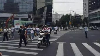 京牌集北京车牌出租如何选对靠谱平台？老司机教你避开三大陷阱